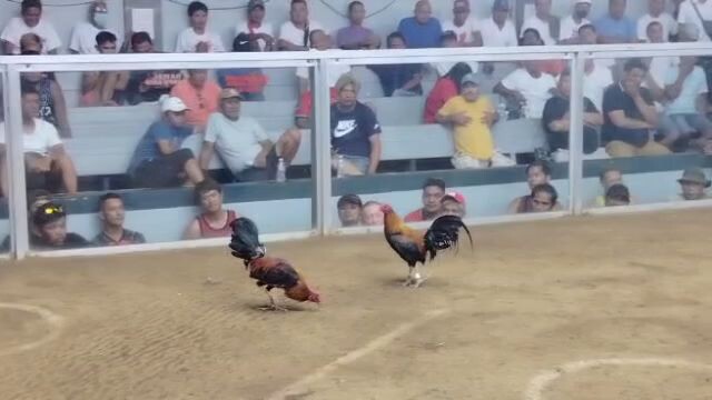 Duke husley in action#10