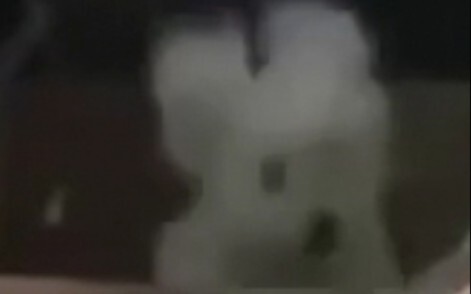 الكلب النووي