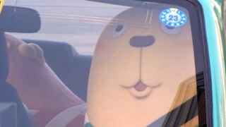 真人版越狱兔