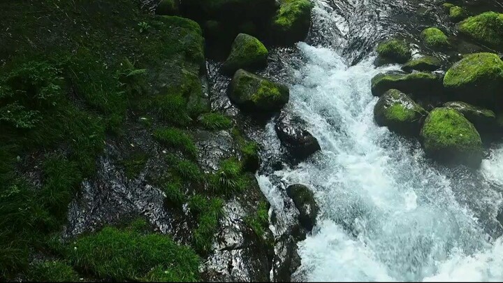 Hidden Forest Waterfall 🌿💧 | Relaxing Nature & Water Sounds