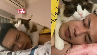 Kucing itu memeluk kepala pemiliknya untuk tidur, dan pemiliknya terbangun karena kepanasan tetapi t