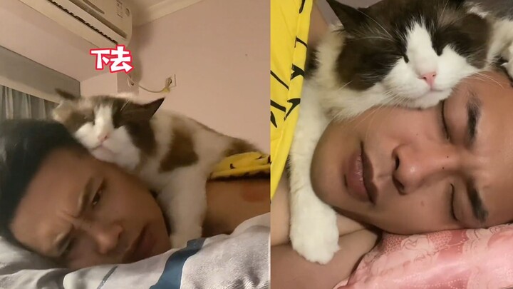 The cat hugged the owner's head to sleep, and the owner woke up from the heat but could do nothing, 