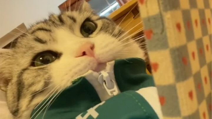 Ketika pacarmu tidak bisa menghubungimu, dalam benaknya…