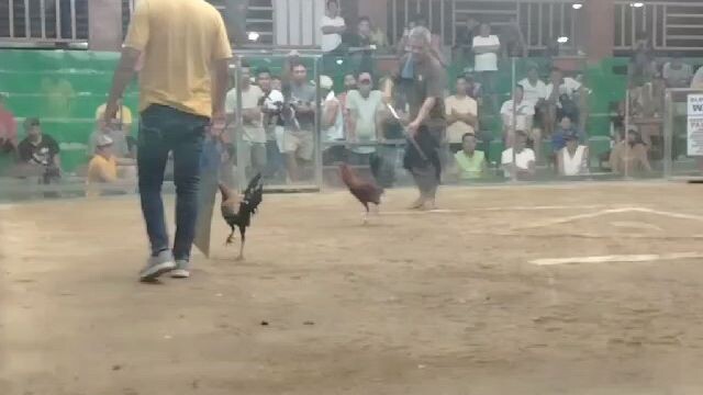 2nd Fight champion (2 hits) @ JB DE Guzman Coliseum Aug. 25, 2025.