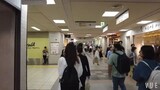 y2mate.com - 原宿明治神宫表参道排队超长的麵散夜晚的新宿歌舞伎町 Kelly今天买到包了吗没有_360p