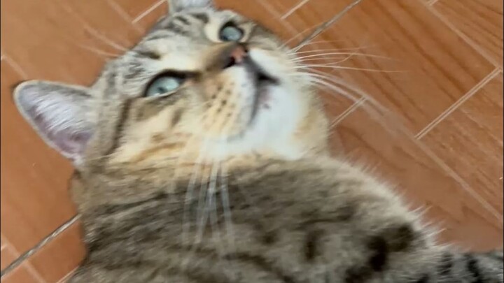 أشعر وكأنه يقرأني بوضوح تام.