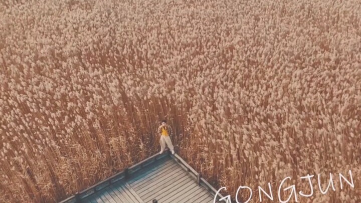 【Gong Jun's VLOG】Still stubbornly moving inventory!!!