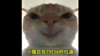 小猫会在7分56秒红温