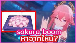 sakura boom ใช้ทำอะไร หาจากไหน? | genshinimpact