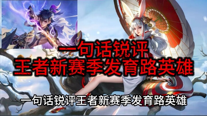 One-sentence sharp review of the new season's bot lane heroes in Honor of Kings