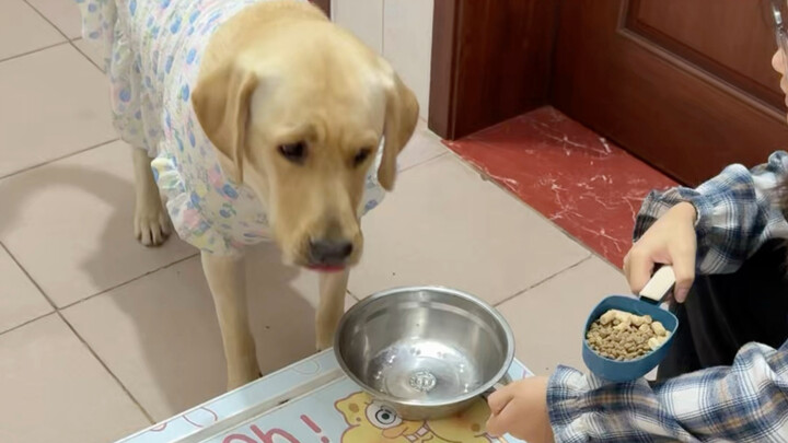 เจ้าของบ้านเรียกให้มากินข้าว