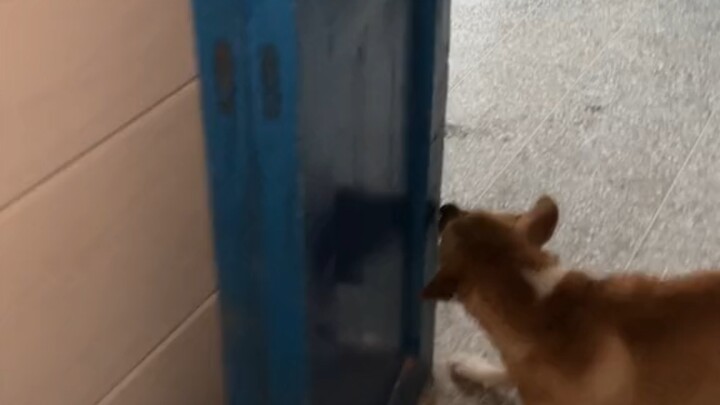 This is unacceptable—someone’s been bullied right into their own home!