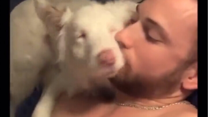 Cuộc sống hàng ngày đầy yêu thương của chú chó khiếm thính và khiếm thị cùng chủ nhân