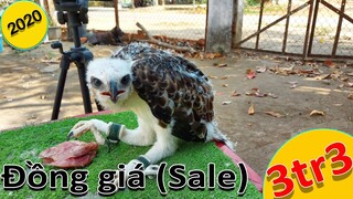 [Hùng Hunter] - Xả hàng đồng giá 3tr333. Nhanh tay hết mùa