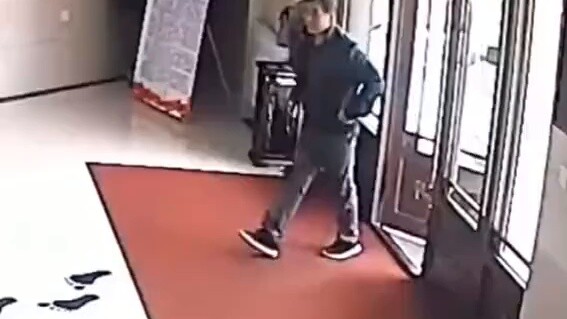 Brother picked up an owl, a second-level protected animal, on the road and calmly handed it over to 