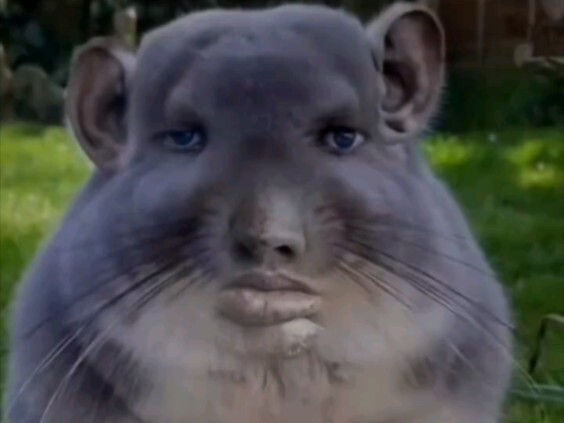 أعيد نشره للإخوة ليتحول إلى "شياو نان نيانغ" [مجموعة مقاطع فيديو خارقة ومضحكة من الخارج #5]