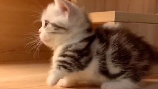 "Because I was so cute, I forgot about my long legs."