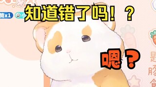 花玲：因为被猫挠了，尝试与猫讲道理！【花玲片】