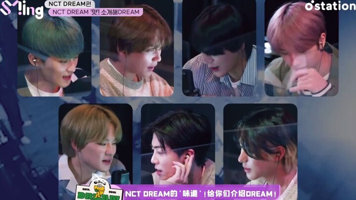 【Kolaborasi Delapan Stasiun】210522 Melon Station SMing NCT DREAM Sub Indo Lengkap