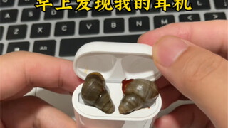 难受，心稀碎#离谱#泰裤辣