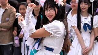 真真随舞《恋爱告急》（240501）