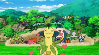 Hành Trình Pokémon Tập 114 Xiaozhi trở lại sân sau của bác sĩ Oak! Lá Bay vẫn dính chặt với Xiaozhi 