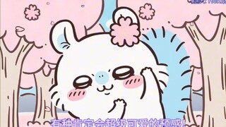 飞鼠纯享版
