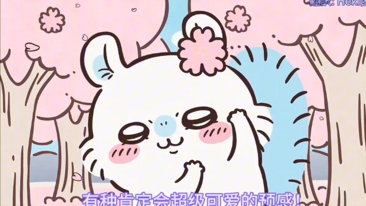 飞鼠纯享版