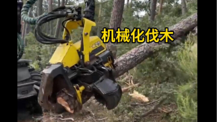 Dari penebangan kayu hingga panen anggur, tingkat mekanisasi dalam pertanian dan kehutanan modern su