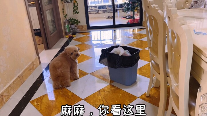 What’s wrong with Toutu? He just wants some snacks!