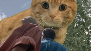 “那一天，人类终于回想起被猫咪支配的恐惧”