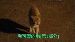 我可爱的狗[第1部分]