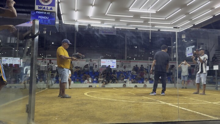 2nd fight sta.rosa col.