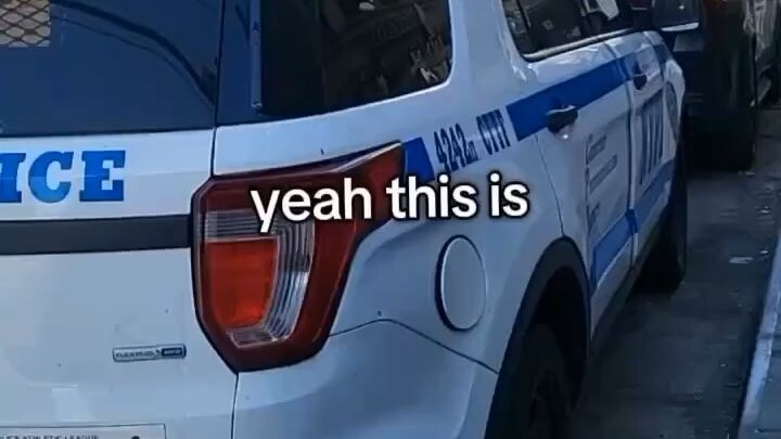 random memes compilation _ part 229 #memes #funny #clips #funnytok