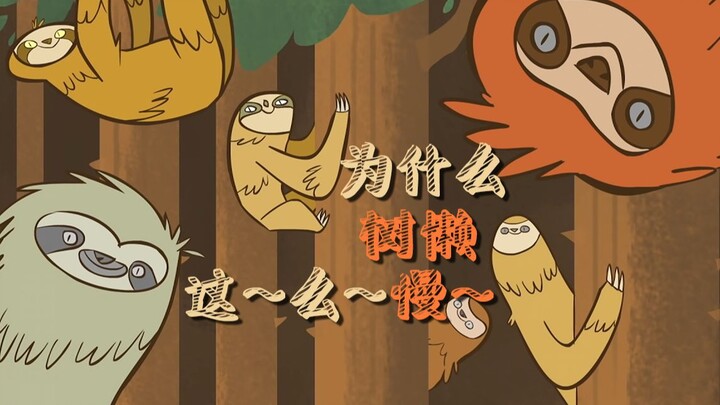 Hanya ke toilet sekali seminggu—kenapa sloth begitu malas dan bergerak begitu lambat?