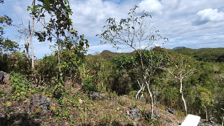 guihulngan mini chocolate hills