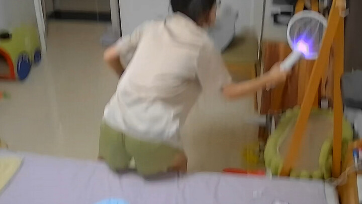 Người nuôi mèo săn muỗi lúc 4:30 sáng, nhưng cảm giác như đang làm chuyện lén lút.