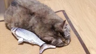 I'm quite salty; how could this fish ever compare to me?