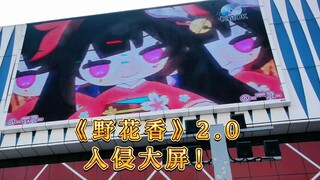 【花火TV上大屏】野花香入侵安徽亳州谯城万达！