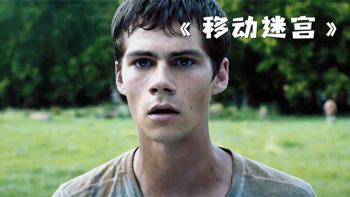 A boy’s chance act of kindness nearly cost him his life! — “Maze Runner”
