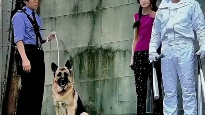 Sejak itu, Paman Long tidak pernah lagi mengajak Pak Xing berakting cameo!