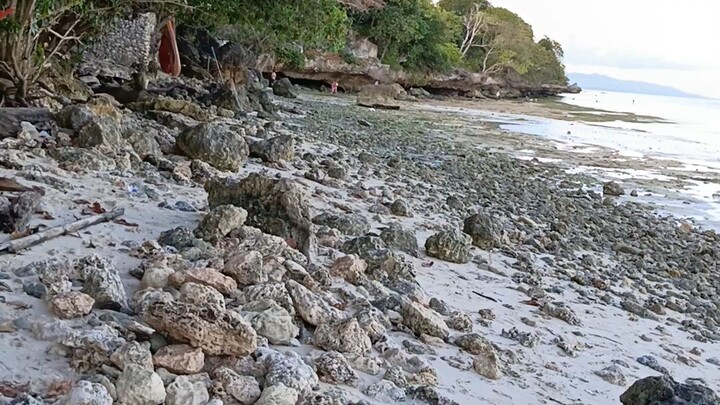 bohol beach club