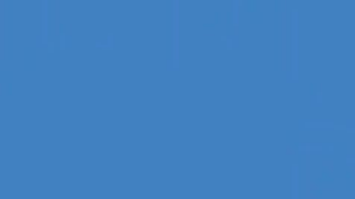 WhatsApp Video 2025-02-15 at 12.31.00