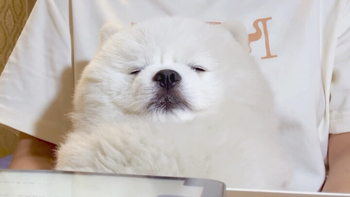 Fate Plays Tricks on College Students