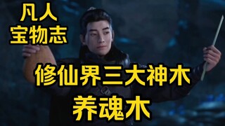 韩立赚翻了！白嫖三大神木之一的养魂木！（凡人修仙传）