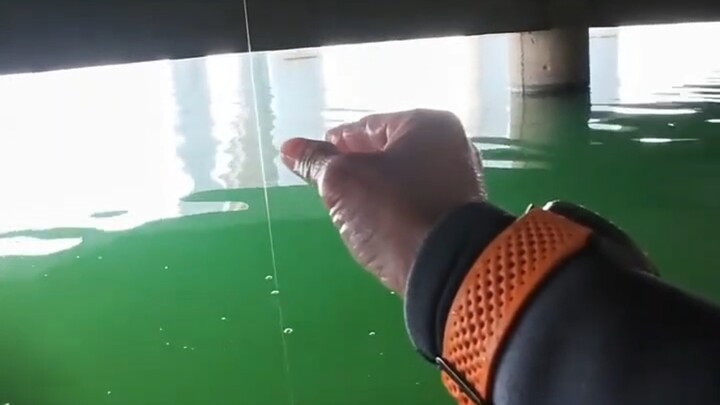 Họ nói rằng có người đang câu cá dưới nước, giờ thì điều đó đã được xác nhận.