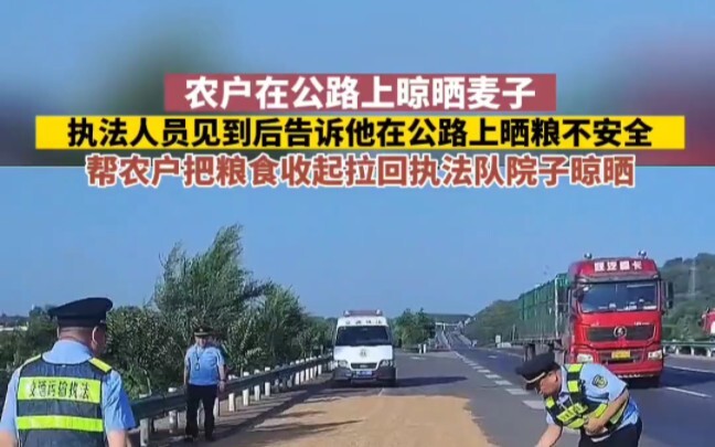 It’s unsafe for farmers to dry their wheat on the road, so the enforcement team helped them move it 