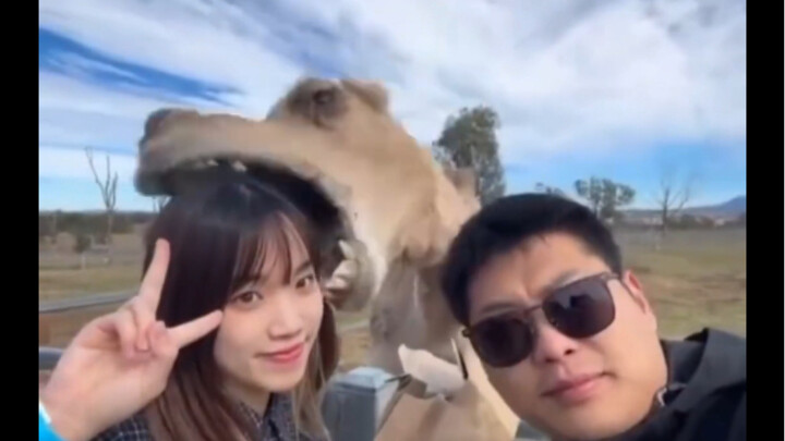 “Penghargaan Kelakuan Hewan yang Tidak Bermoral”