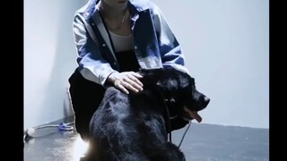 [Han Dongjun x Tan Kenci] ใครกำลังเบื่อและมองดูเนื้อหาของสองคนนี้อีกครั้ง ดูเหมือนว่าแมวจะชอบสุนัข