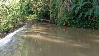 mancing di Curug keren